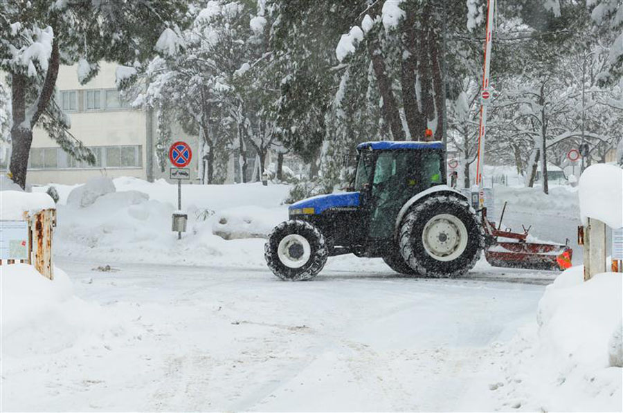 DSC_0163 (Custom).jpg